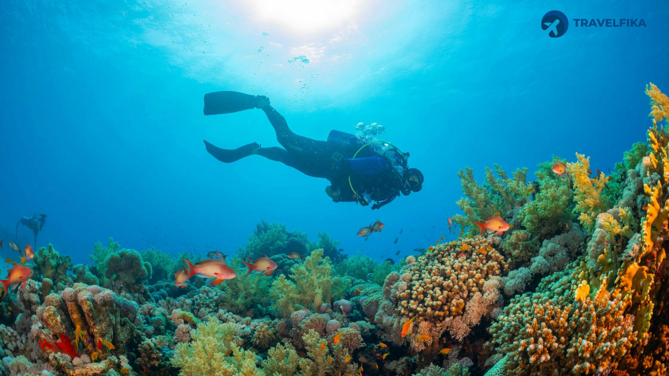 Witness the Haenyeo Divers of Jeju Island